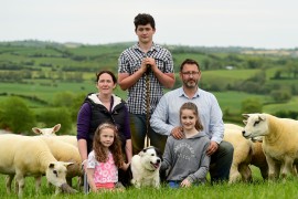O’Connor Family to host NI Texel Club open night