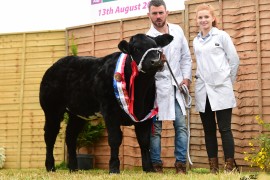 Lady Jane a good day out at Tullamore Show