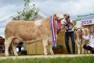 Behan Family lift Champion title at Tullamore Show