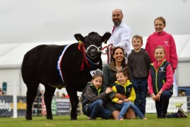 James Alexander takes both Commercial & Limousin Championships