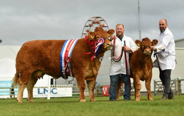Eamon McGarry with James Alexander with Limousin Champion and Reserve Interbeed Champion. Click link below for more images