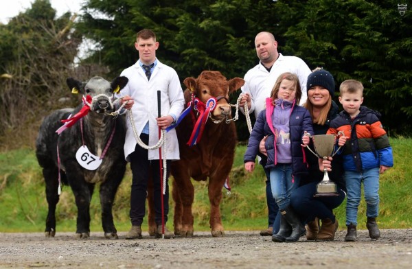 The Corrie lifted the overall Limousin Champion alongside champion commercial animal.  Click the link below to view more  images