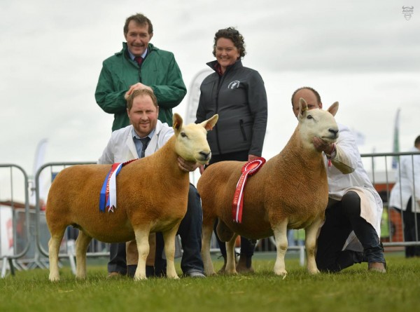 Norman Robinson, Champion  and Allister McNeill, Reserve pictured with judge and Corina Cowan