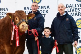 Slieve Limousins take Overall Supreme Champion at Ballymena May Show & Sale 2023