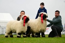 Conway family lift red rosettes during Valais BN judging at Balmoral Show